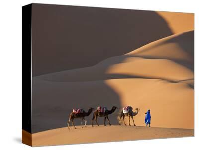 Camel in the Sahara Desert Sunset Egypt Framed Canvas Wall Art Picture Print